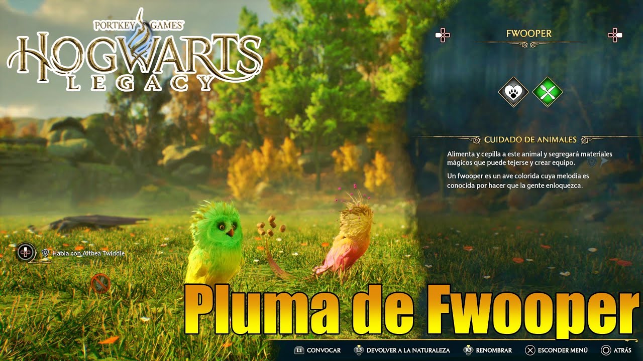 Hogwarts Legacy Donde Encontrar un Fwooper y Pluma de Fwooper 4K 60FPS PS5