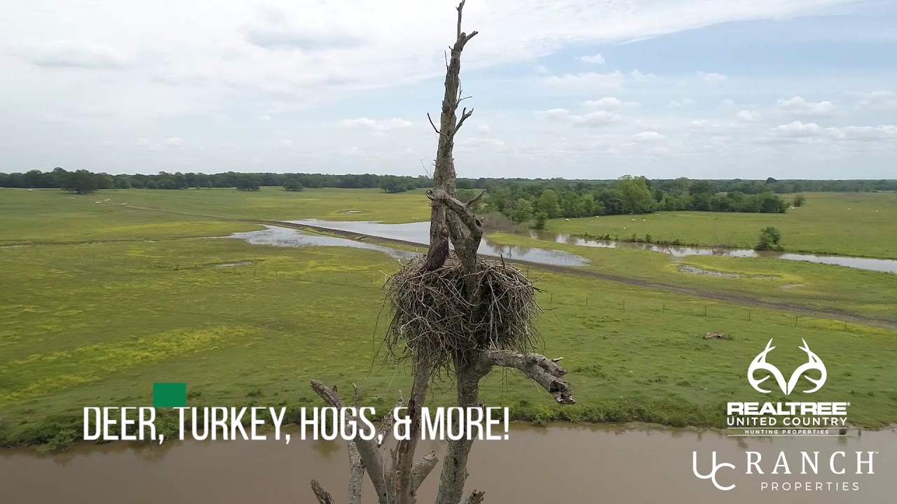 Large Cattle Ranch Hunting Land For Sale Texas