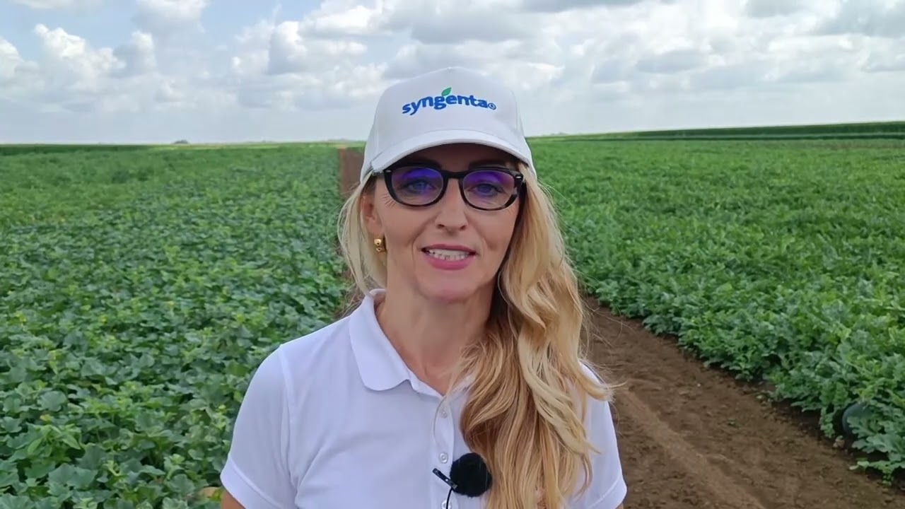 TOP ZASTITA ZA TOP KVALITET LUBENICA NA IMANJU SAVE KOMPLICA IZ DERONJA -SYNGENTA