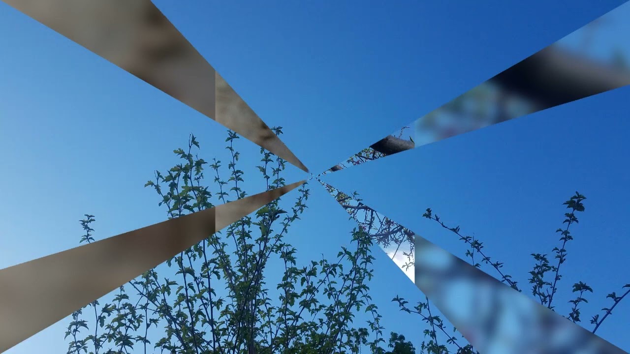 (music) yeah tree