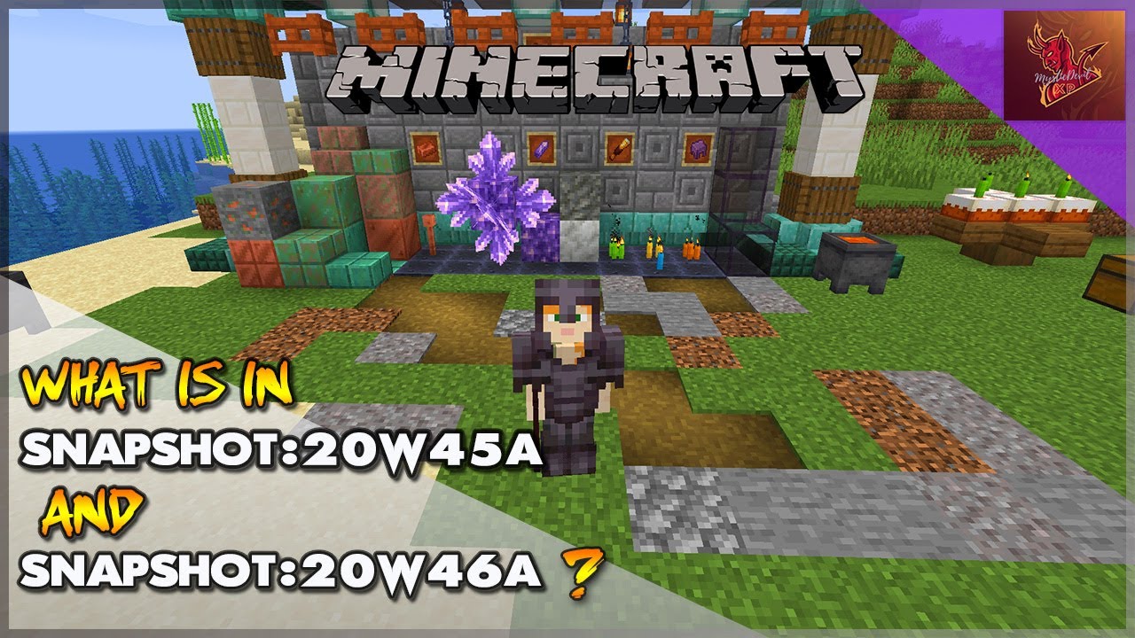 What was added in Minecraft snapshot 20w45a and 20w46a ?