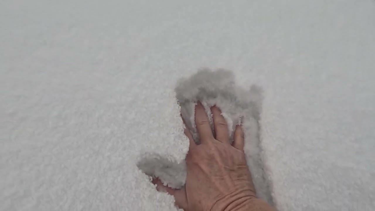 Snow and Frozen Fog #snow #fog #weather