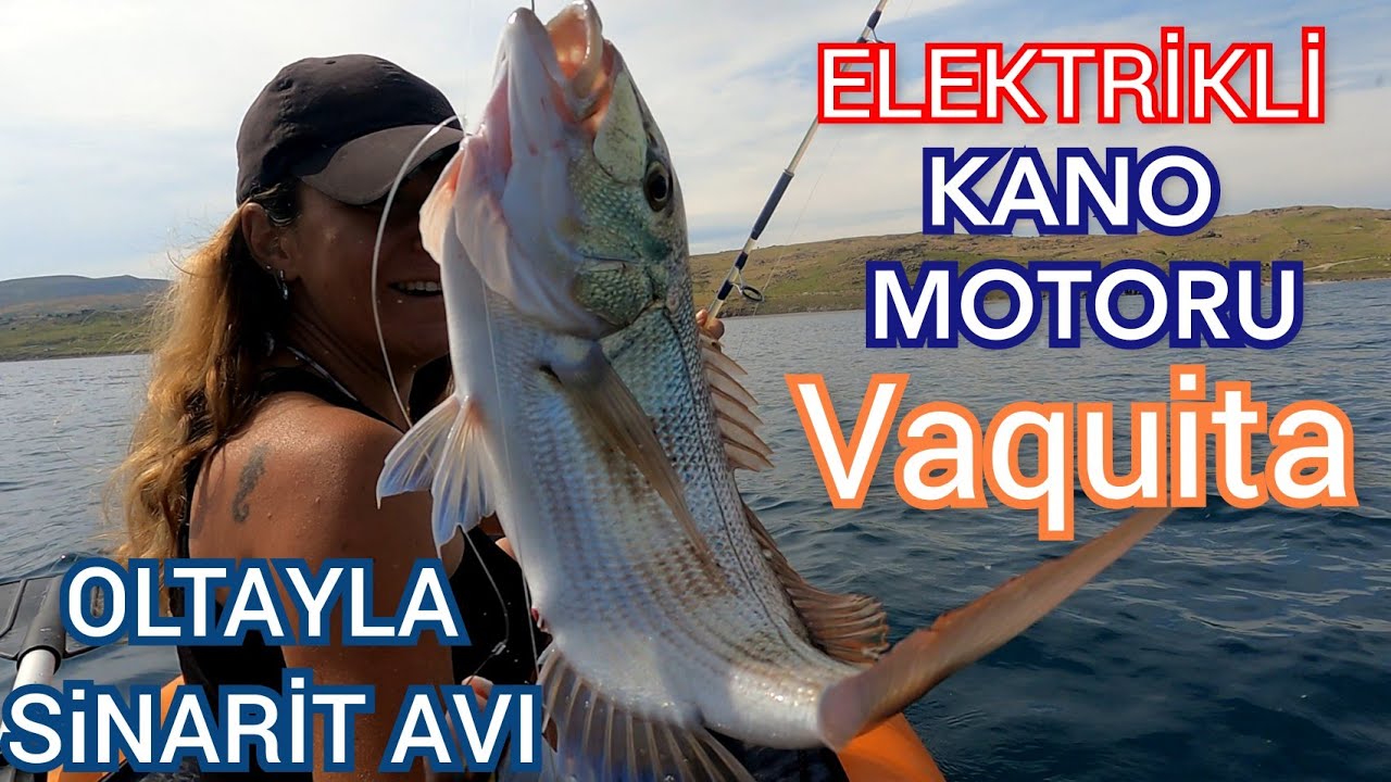 Vaquita Elektrikli kano motoru /oltayla balık avı sinarit avı