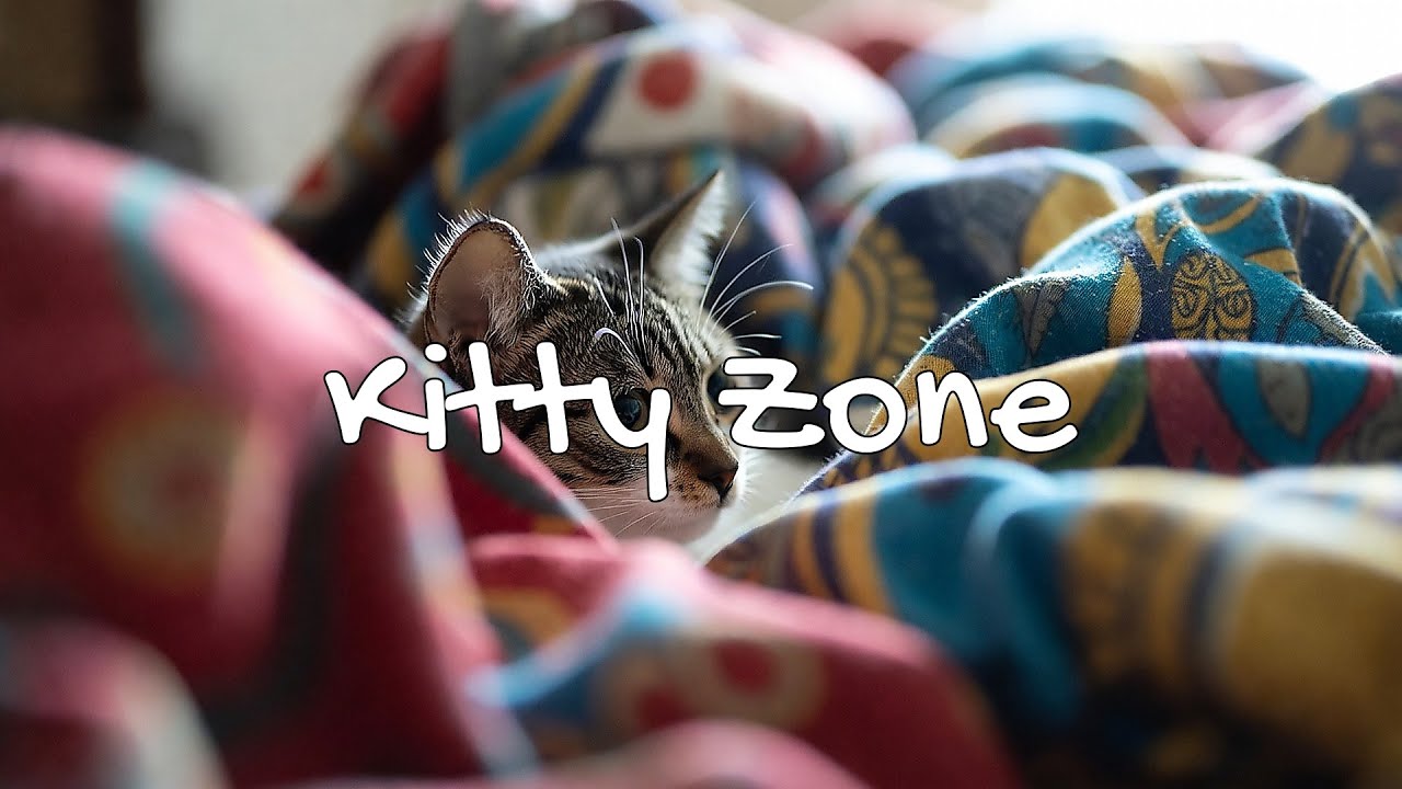 LIVE Cozy Sleeping Kitten for Night Time 🌙 | Season 2 | Playlist 🎧