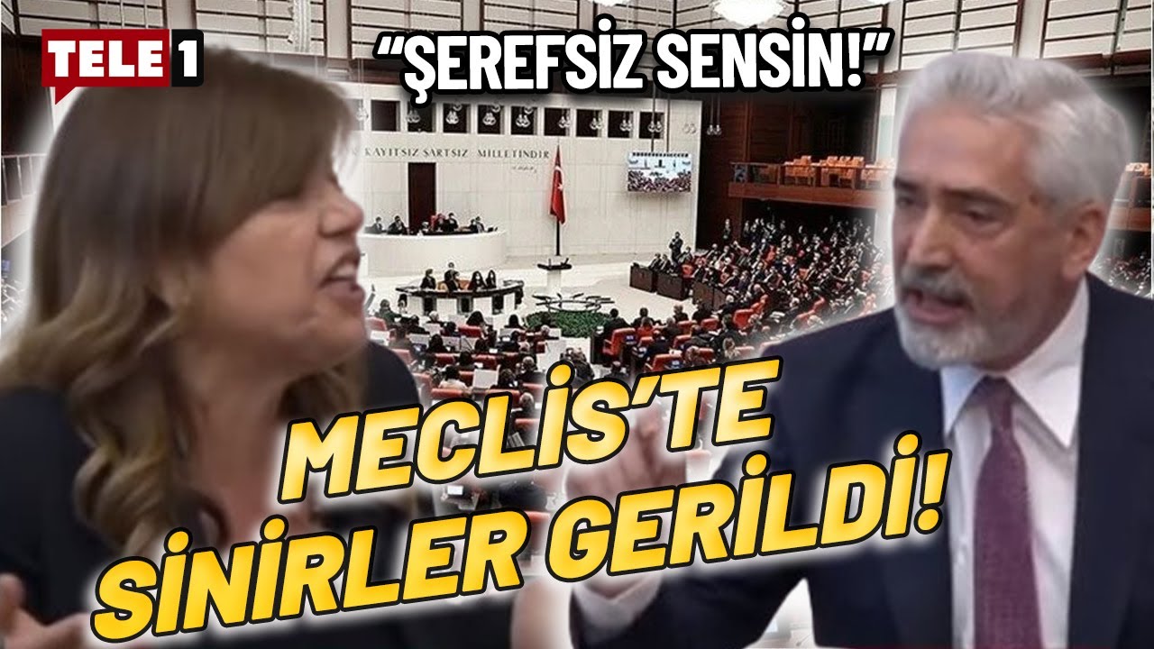 DEM Partili Beştaş ile AKP'li Ensarioğlu Meclis'te birbirine girdi: Şerefsiz sensin