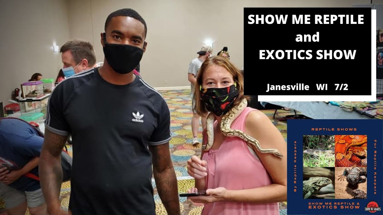 Show Me Reptile and Exotics Reptile Show | July 2020