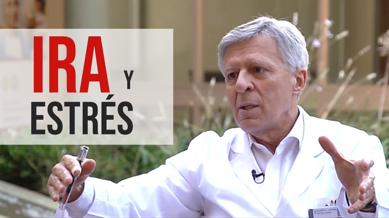 IRA Y ESTR&Eacute;S