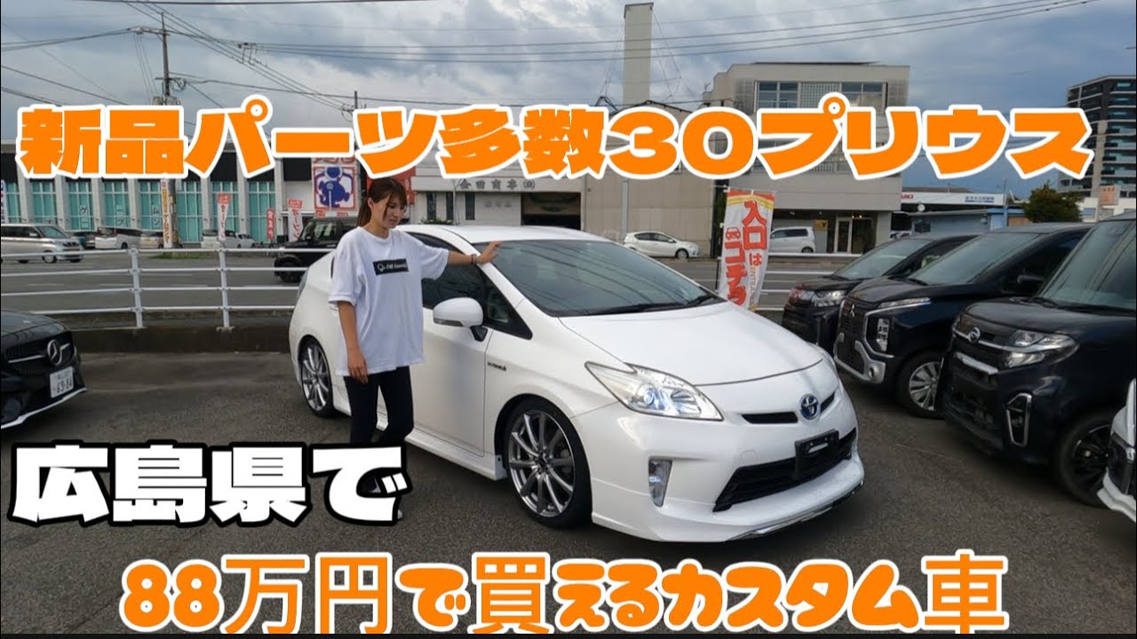 今更30プリウスをカスタムしてみたけどシンプルが過去1番カッコいい