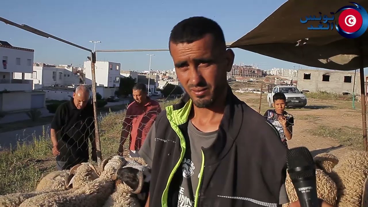 أشهر بائع للعلوش ( بلال) علوش من مليون إلى مليون 800 نشالله ناس كل تعيد