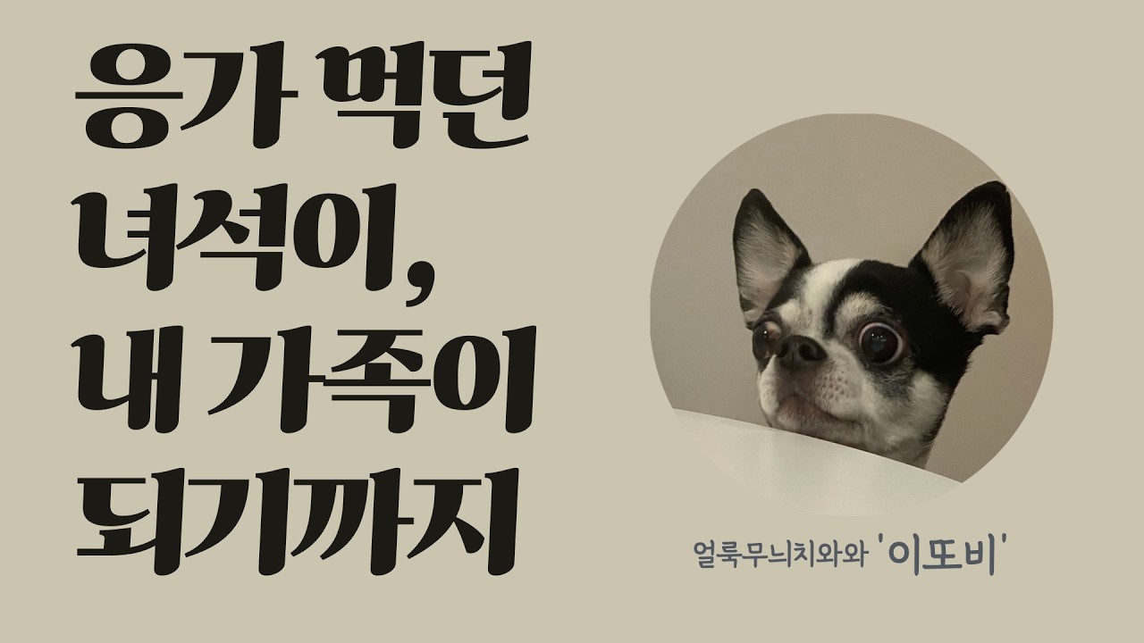 응가먹던 녀석이 내 가족이 되기까지
