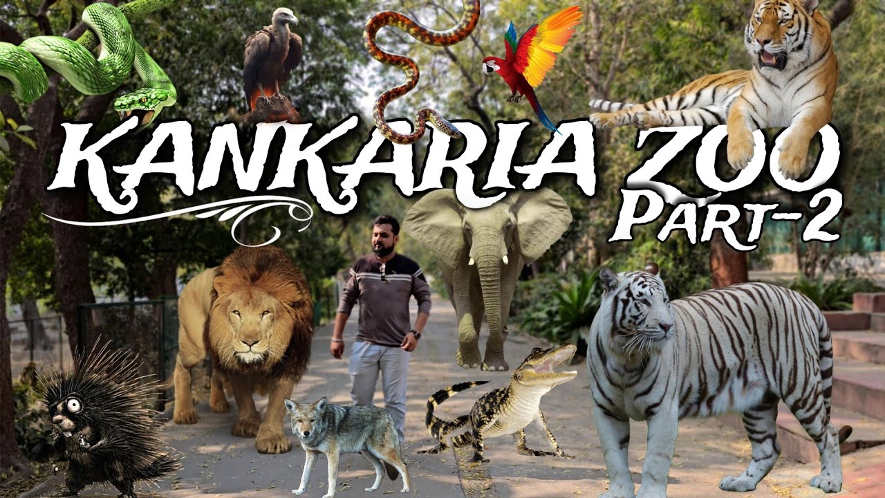 Kankariya Zoo Safari - Part 2 | Snake house, Tiger, Lion, Hippo, Safari | Ahmedabad | VAMPASUR 4K