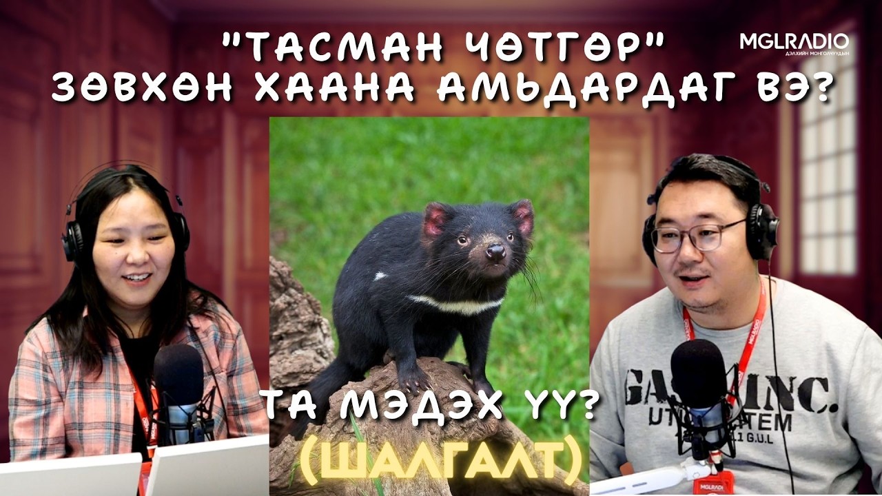 Та мэдэх үү? | 2026-03-20 | Шалгалт