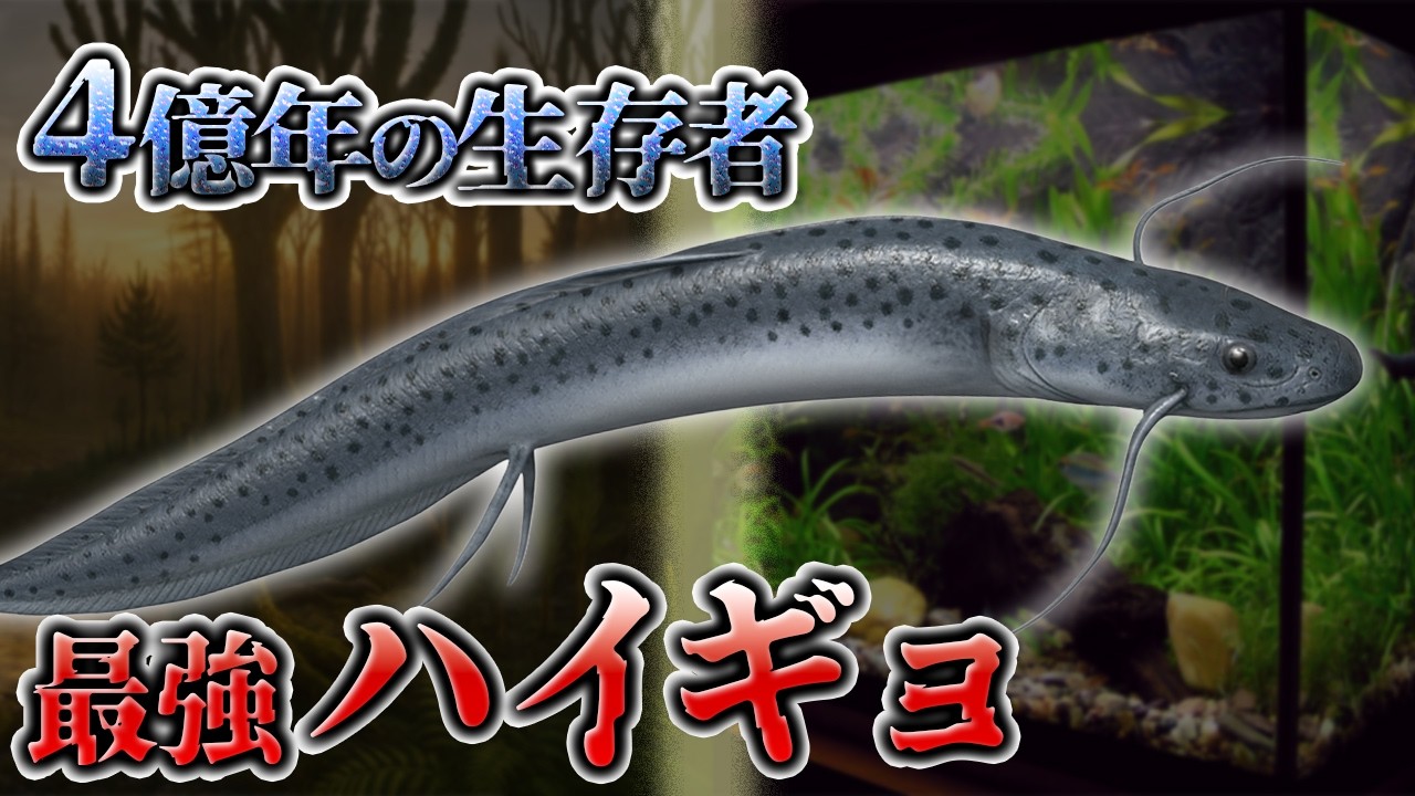 【ゆっくり解説】4億年生き延びた魚！ハイギョとは何者なのか