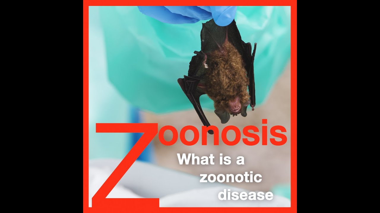 Zoonosis: What is a Zoonotic Disease?
