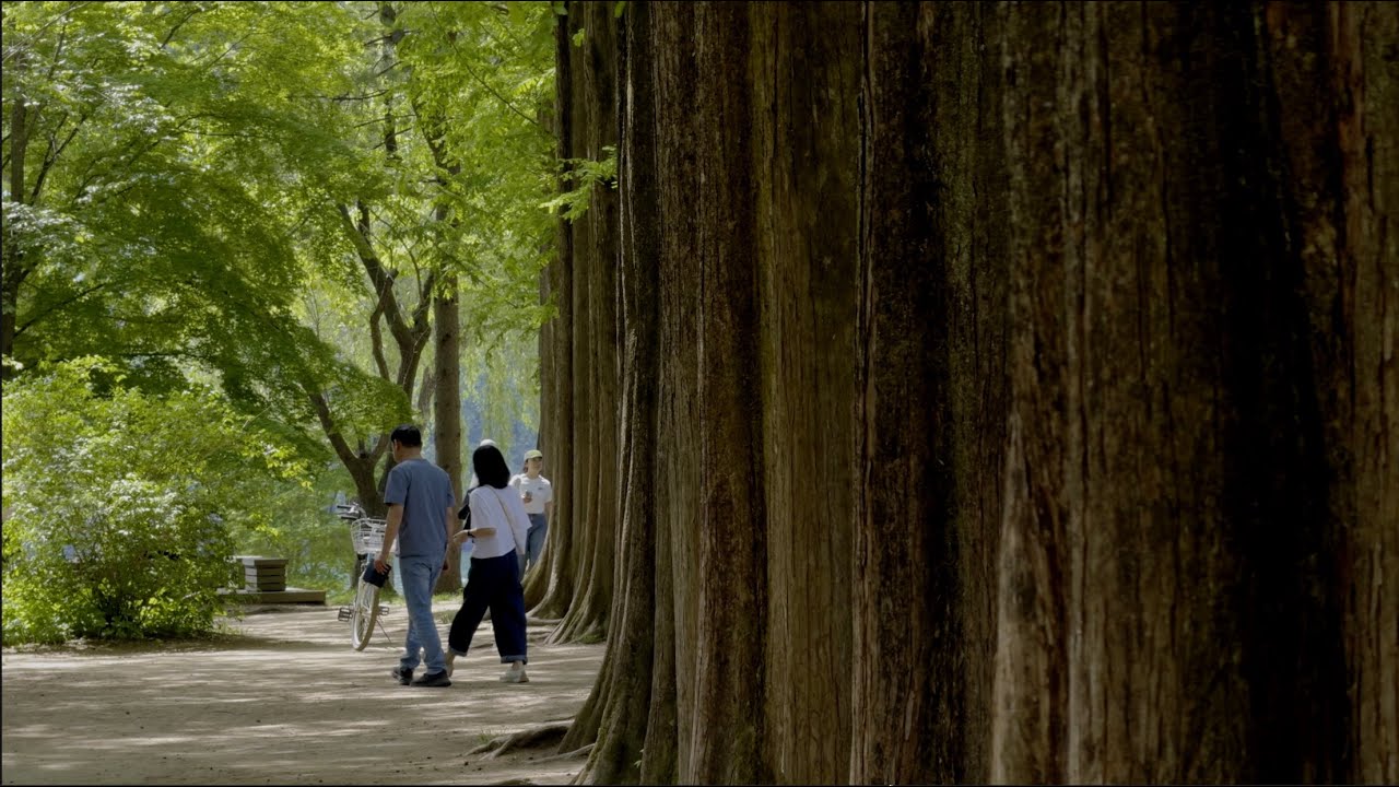 South Korea Vlog | Seoul Explore (Ep.3) : Everland, Nami Island (Relaxing Video)