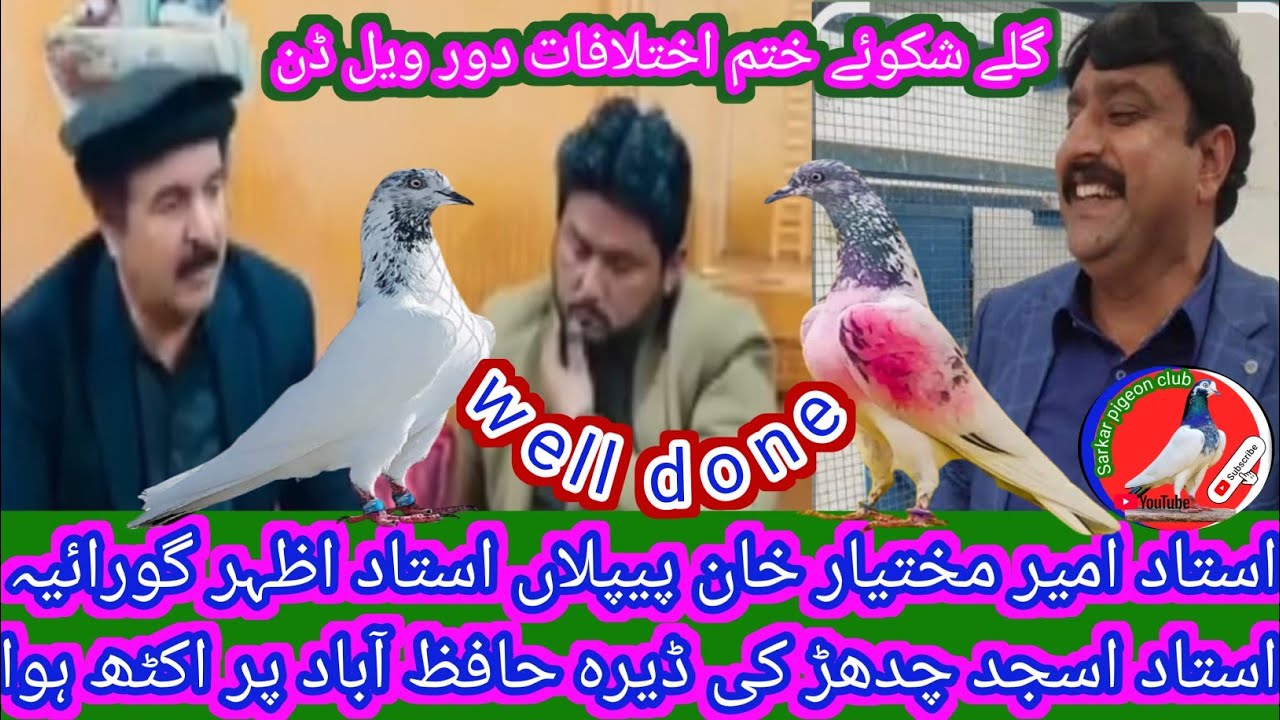 Ustad ameer mukhtiar khan piplan ustad asjad chadar ustad Azhar goraya#meeting# pigeon lovers#
