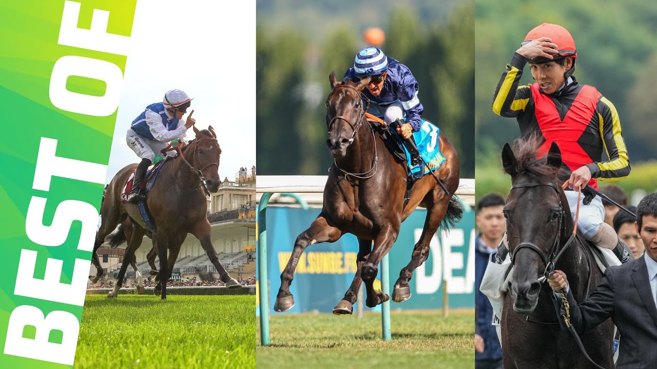 EN ROUTE VERS LE QATAR PRIX DE L'ARC DE TRIOMPHE 2025 | TOP COURSES