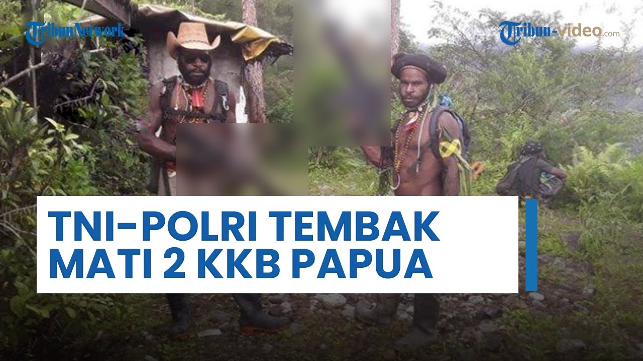 Kronologi TNI-Polri Tembak Mati 2 KKB Papua Distrik Tembagapura, Dipicu Bunyi Letus Senjata di MP 69