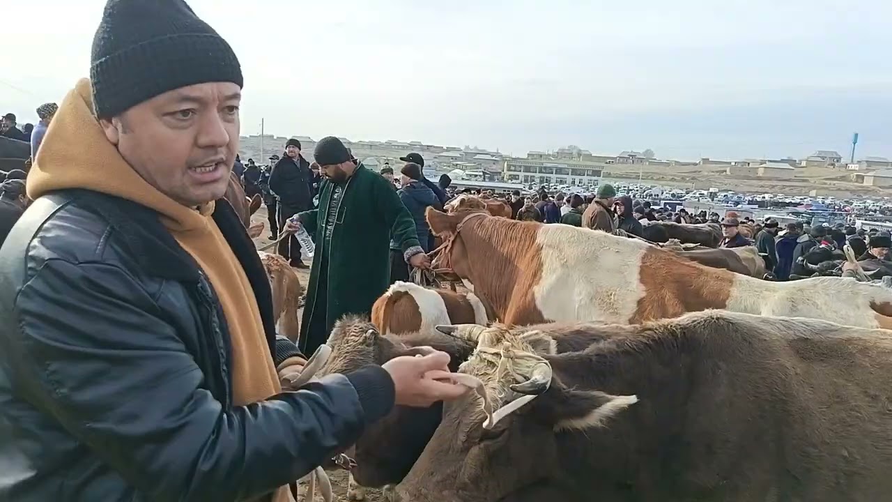 4 февраля 2026 г.