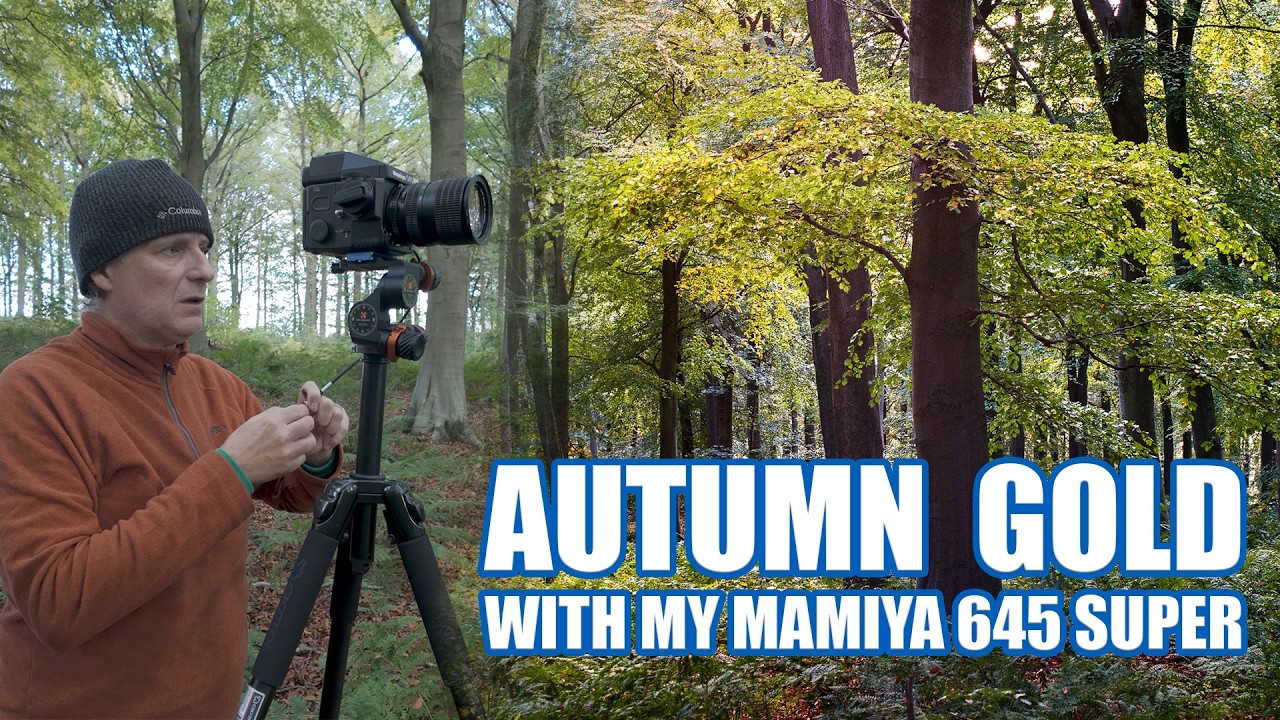 Photographing Autumn With a Mamiya 645 Super and Kodak Gold 200