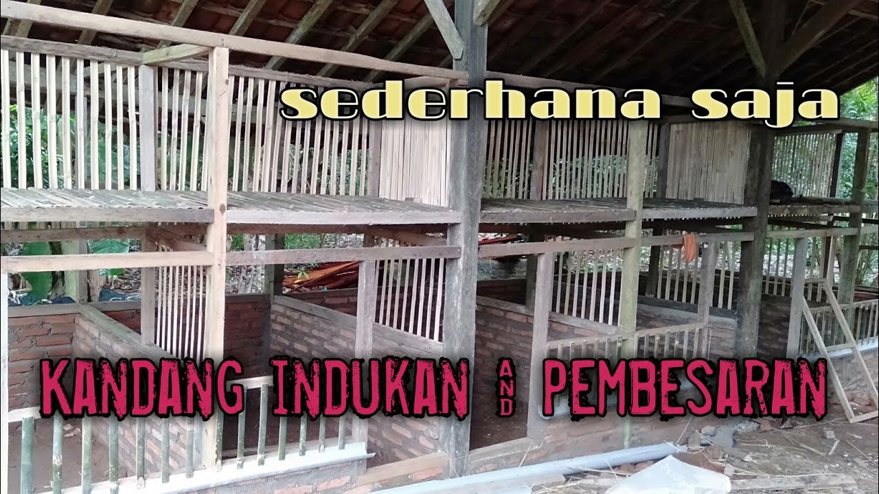 Model kandang ayam intensif || koloni dan pembesaran. KALIJOGO FARM