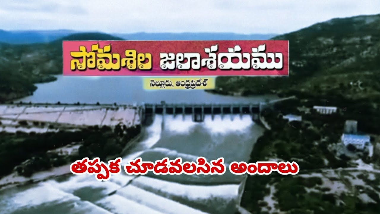 Beauty of Somasila Reservoir// Full Drone Video #plk #farming #dam #drone #video