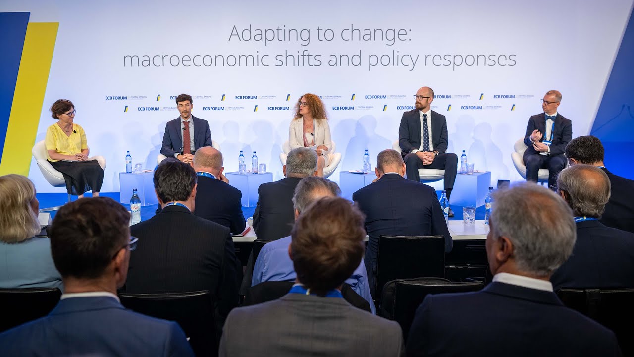 Cross-country heterogeneity in the euro area and implications for monetary policy