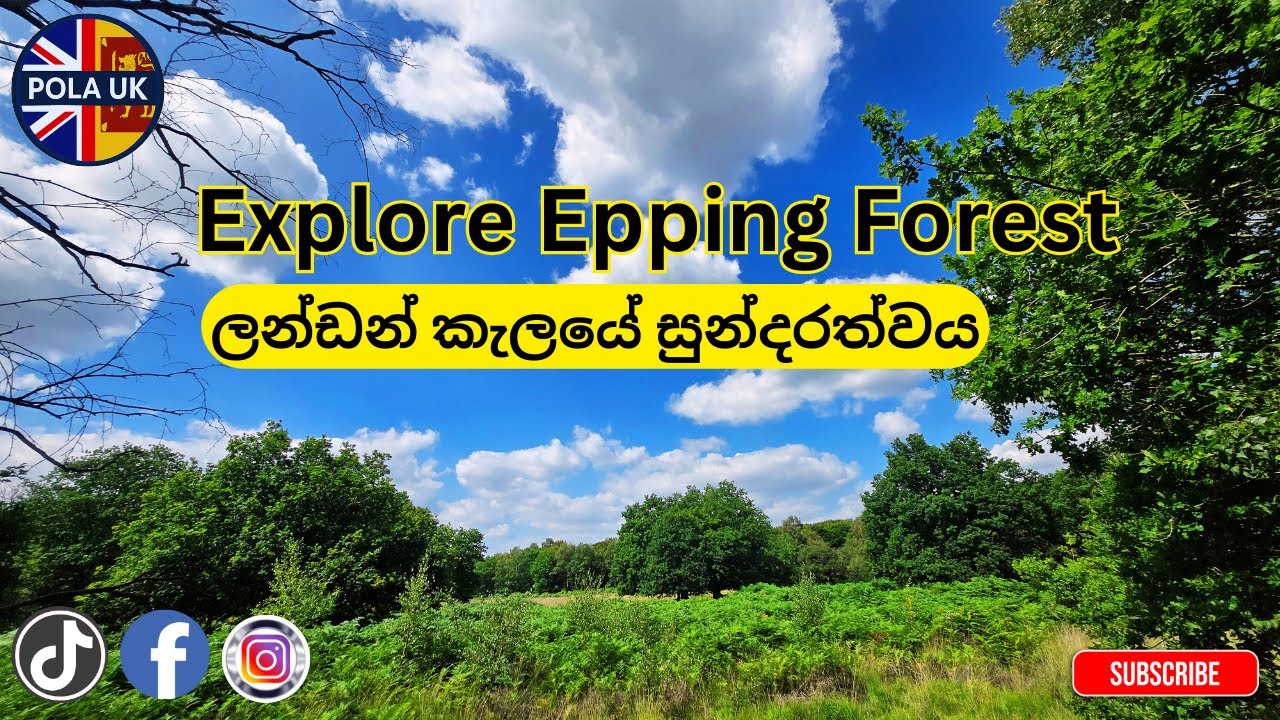 A Peaceful Walk in Epping Forest – London’s Natural Escape | අපූරු 🌳Epping Forest සංචාරය 🇬🇧