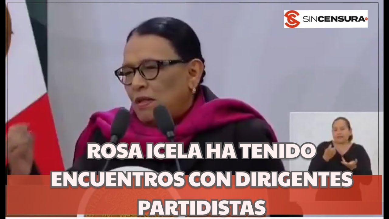 Se está DISCUTIENDO punto por punto, de la REFORMA ELECTORAL: ROSA ICELA
