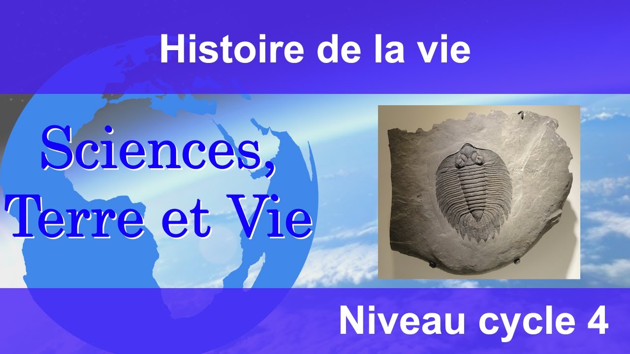 Histoire de la vie