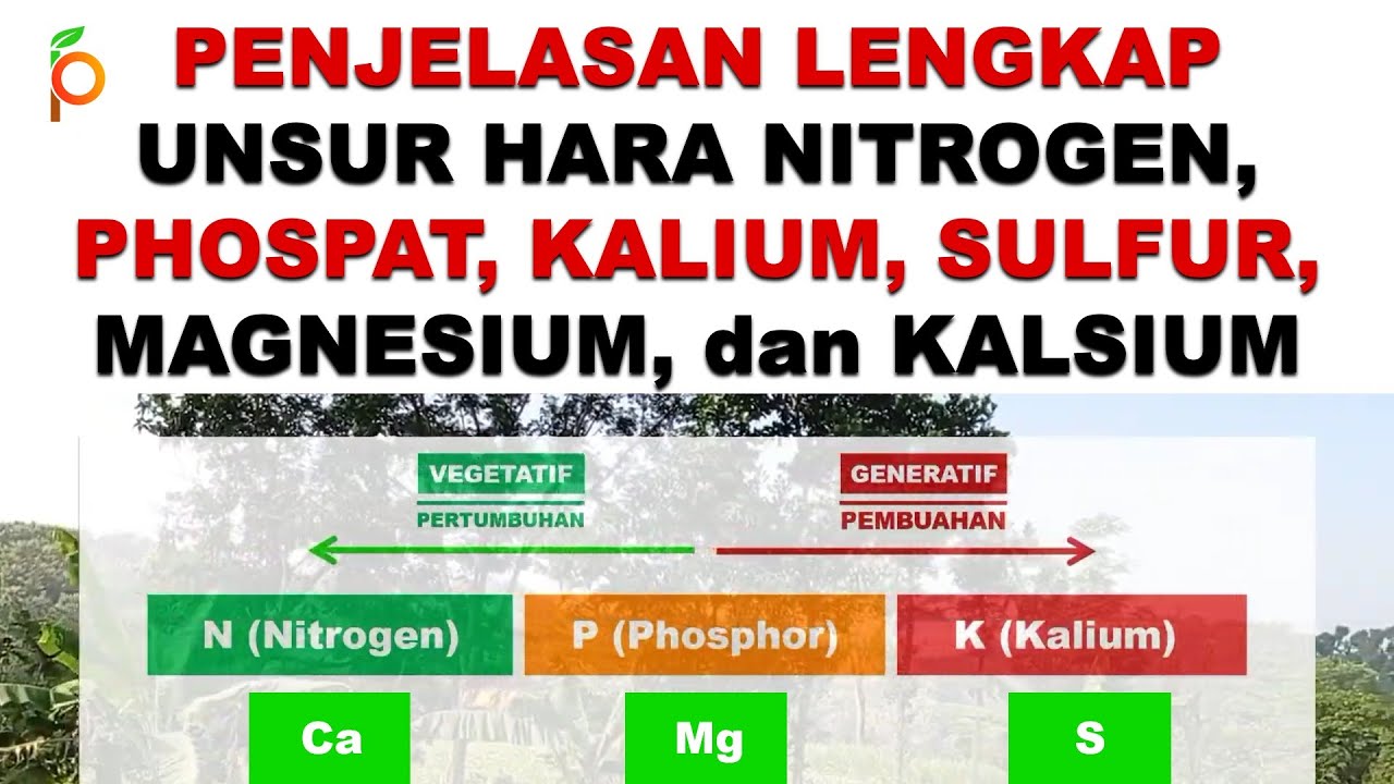 Unsur Hara Nitrogen, Unsur Hara Fosfat, Unsur Hara Kalium, Unsur Hara Sulfur, Magnesium, dan Kalsium