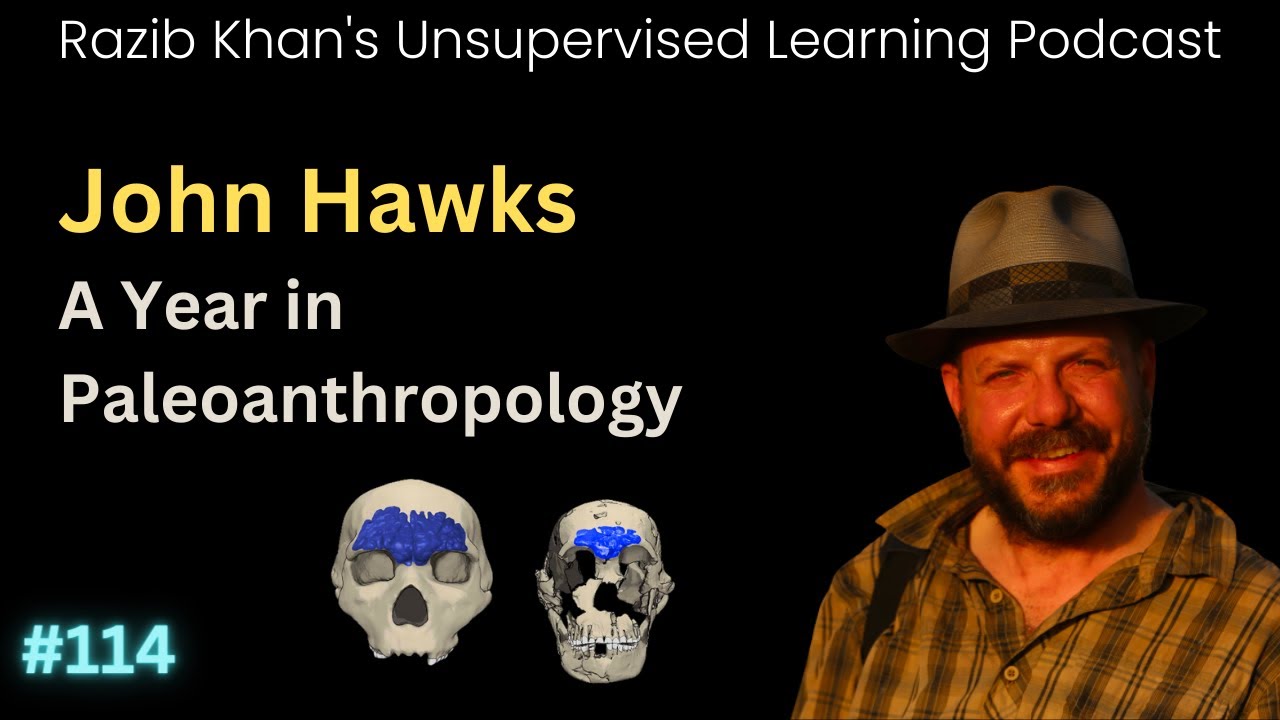 John Hawks: A Year in Paleoanthropology