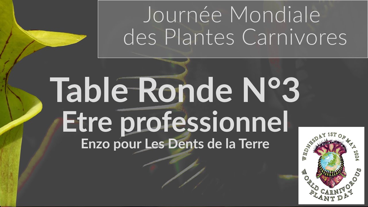 Table Ronde N&deg;3 : &Ecirc;tre professionnel avec Enzo Defer pour 