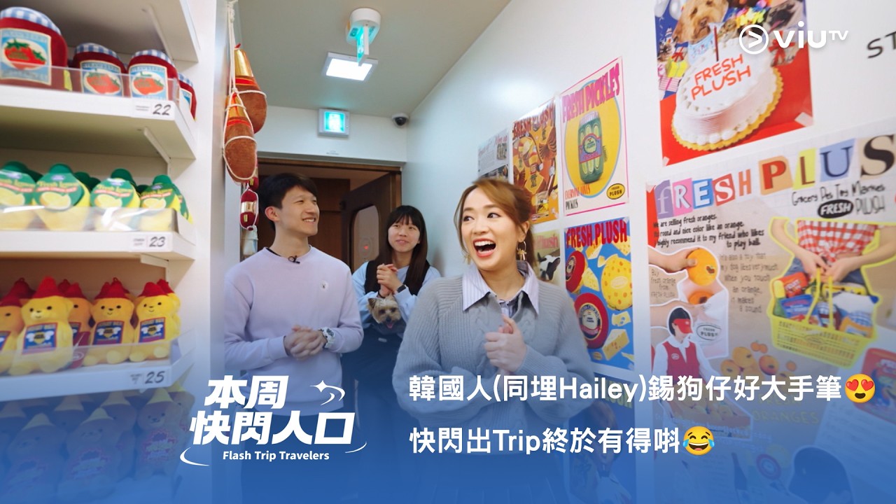 《本周快閃人口》韓國人(同埋Hailey)錫狗仔好大手筆😍 韓國篇終章🇰🇷 快閃出Trip 終於有得唞😂