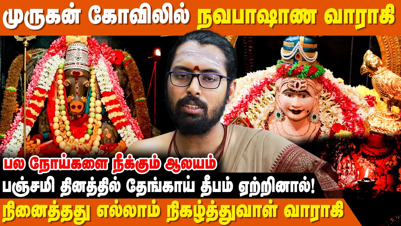 சஞ்சீவினி மூலிகையின் காற்று இங்கு வீசும் ! | Sri Navapasana Raja Murugan Temple | Temple Vlog