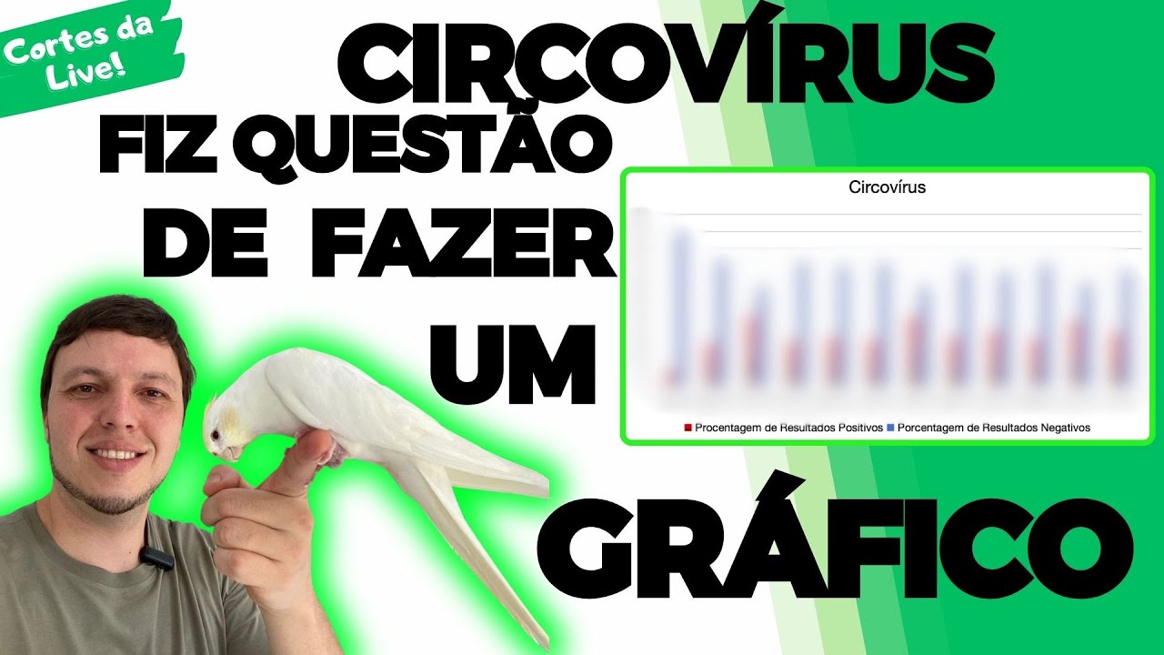 PORQUÊ TEM TANTO CIRCOVÍRUS NOS PSITACÍDEOS?