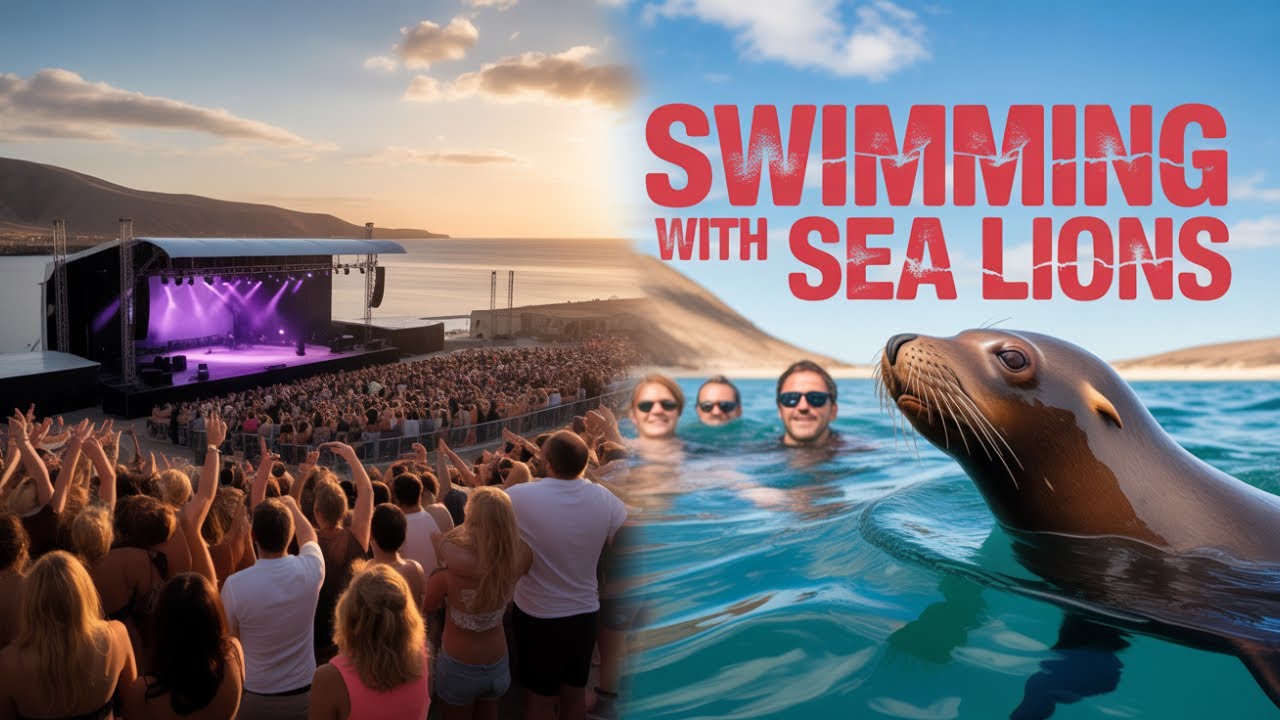 The Ultimate Beach Party Experience in Caleta de Fuste!