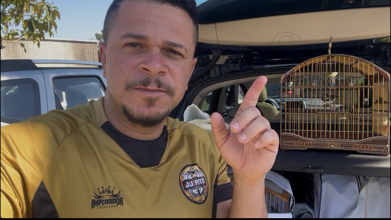 MOSTREI DE NOVO REVELANDO NA PRÁTICA, COLEIRO E PAPACAPIM DE TORNEIO