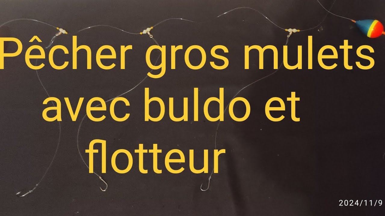comment pêcher les mulets avec buldo et flotteur