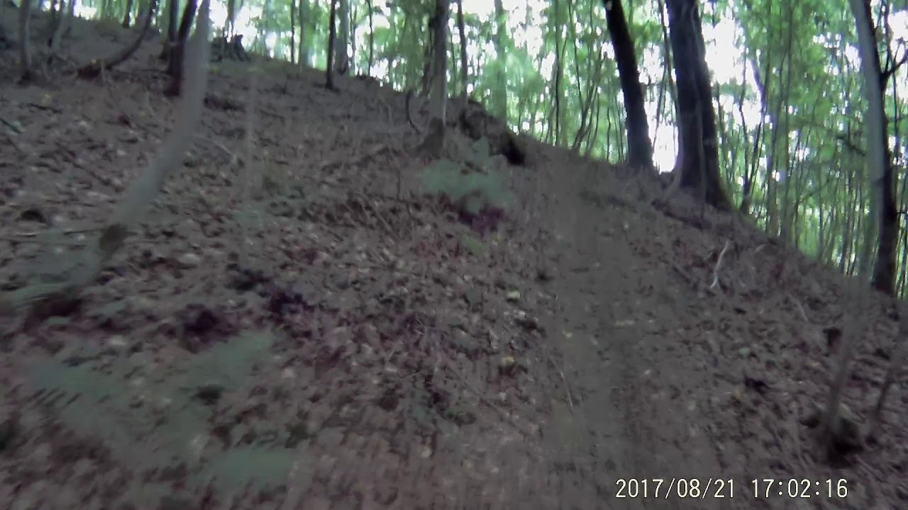 Paul-Gussman-Weg -- Toller Singeltrail in beiden Richtungen