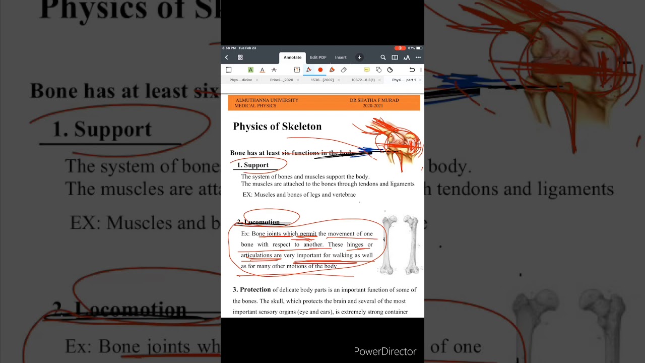 Physics of the skeleton | part 1 (طب المثنى)