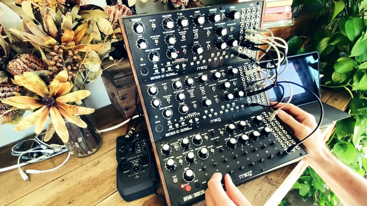 Another improv jam with 2x Moog Mother 32 + DFAM
