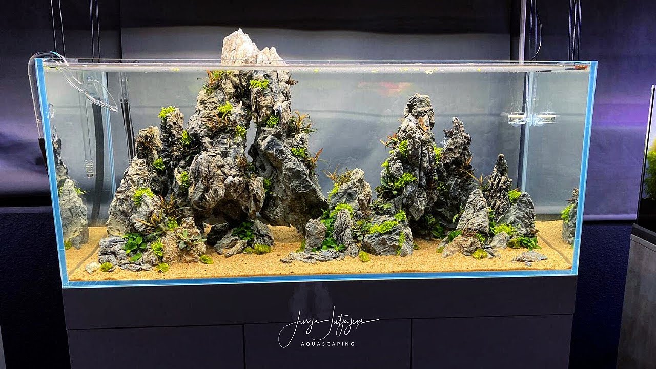 AQUASCAPE TUTORIAL - Pinnatifida on the Rocks