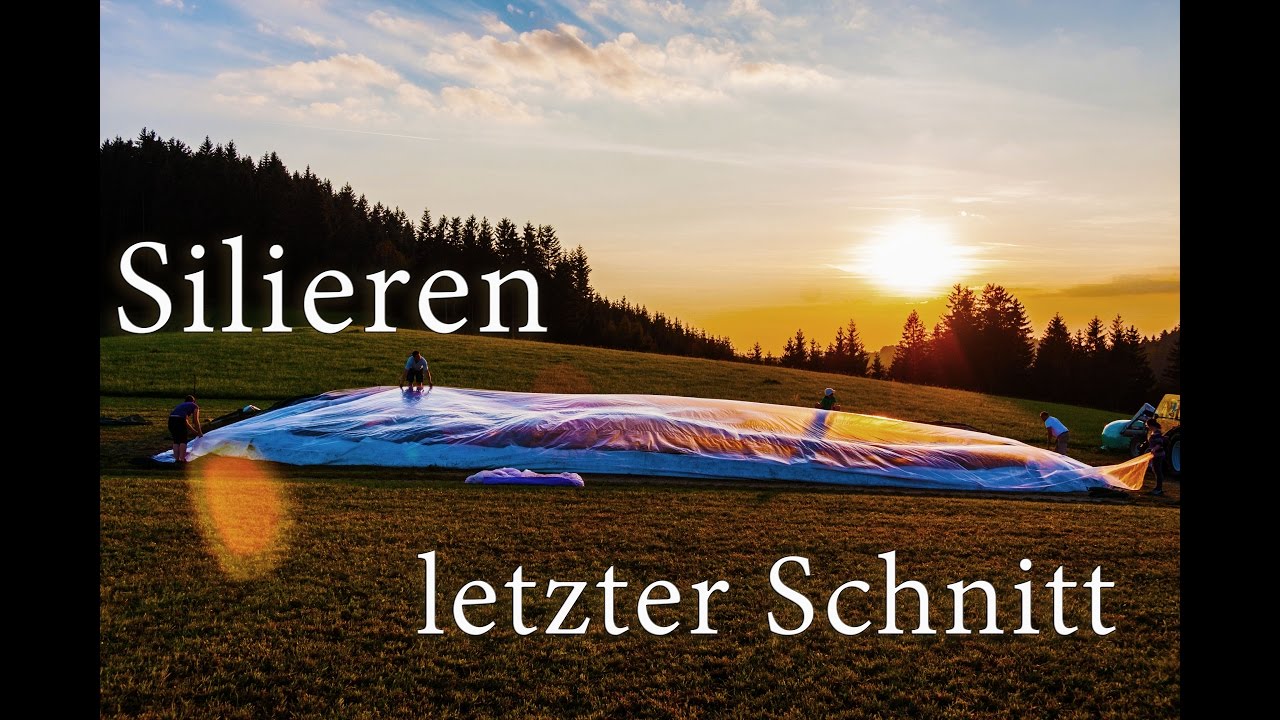 Silieren - letzter Schnitt - 2016