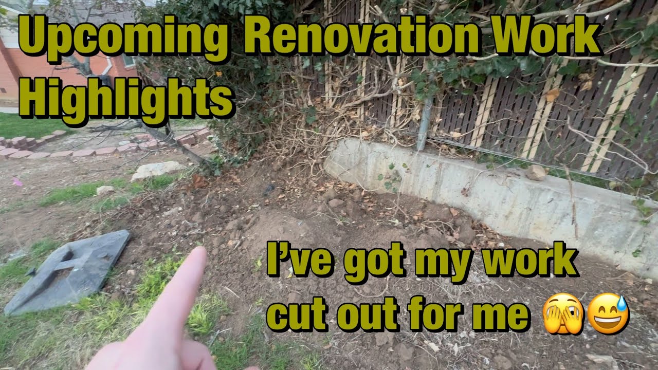 Upcoming Lawn Renovation Highlights
