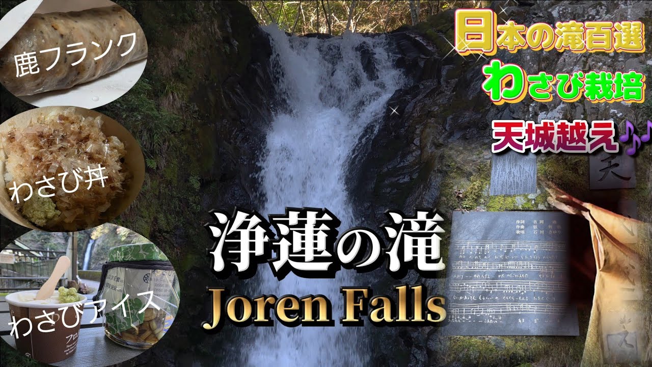 浄蓮の滝(日本の滝百選)伊豆を代表する名瀑/Joren Falls/Waterfalls /that appear in the lyrics of enka singers