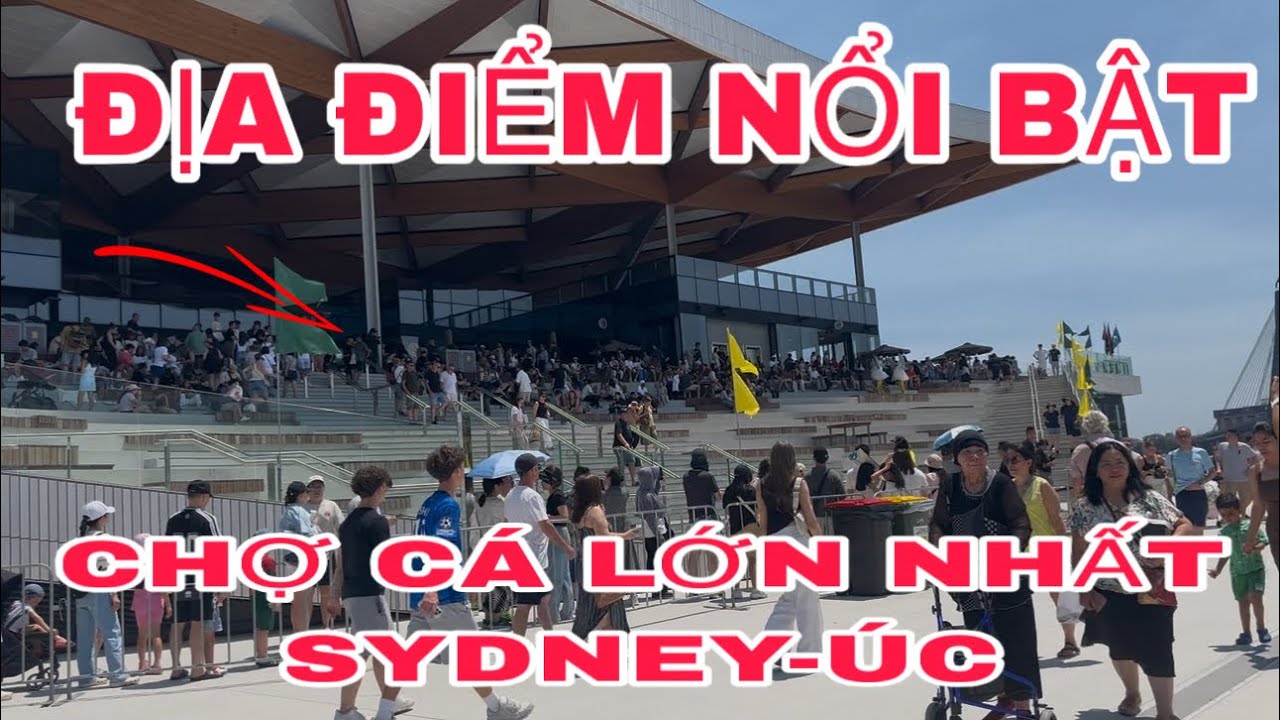 Sydney Fish Market-Chö.Cá Mói Đã Chính Thức Tąi BlackWattle Bay (Pyrmont).Làm Tắt Nghẹn  Giao Thông 