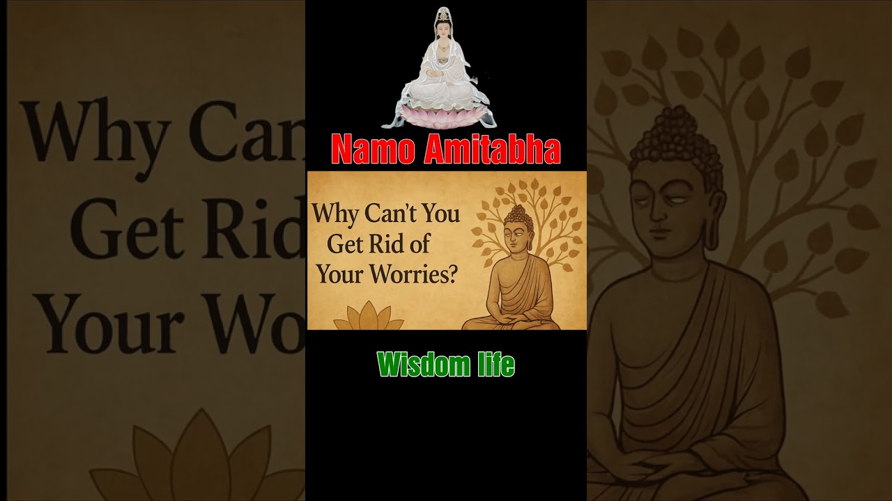 290 Why Are Good People Misjudged in a World Full of C #motivation #inspiration #love #quotes