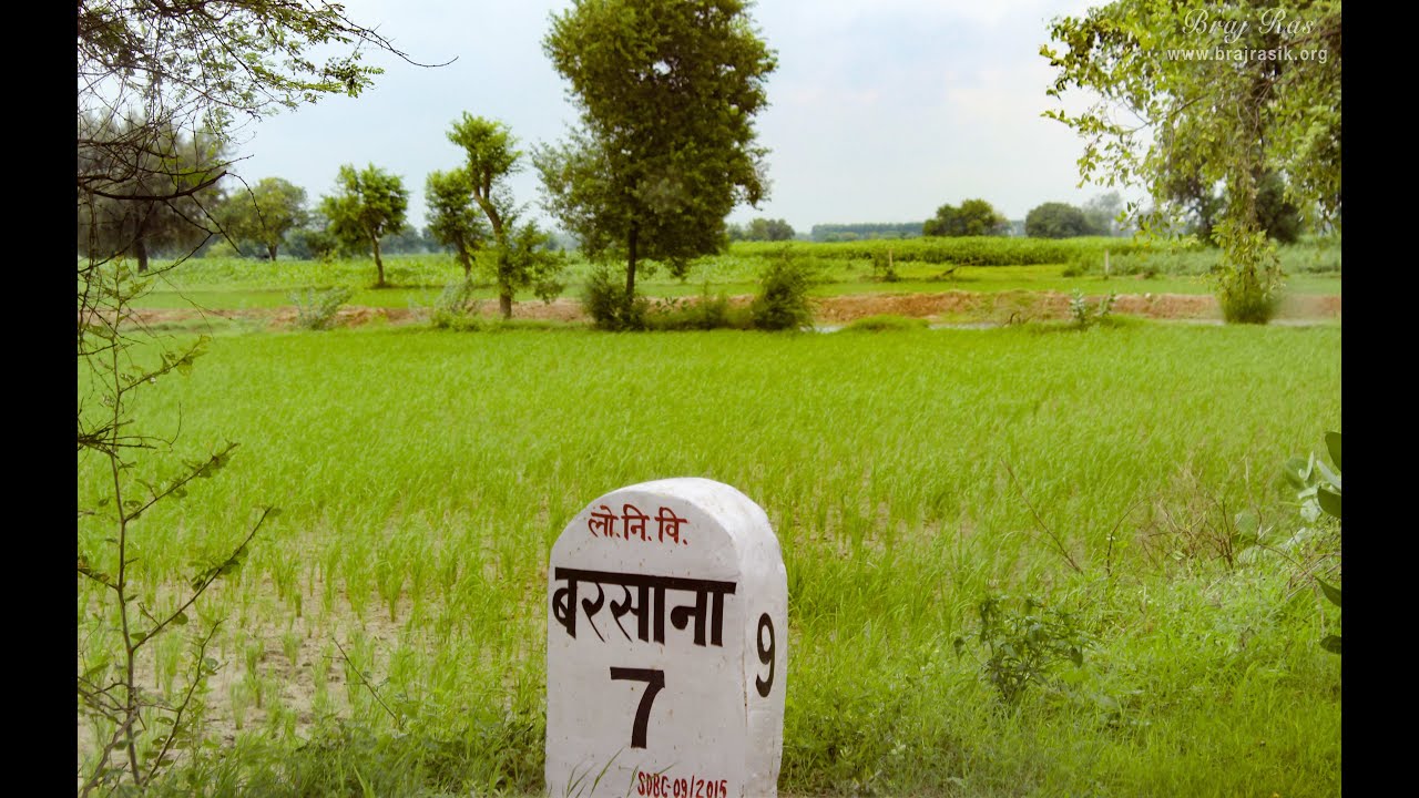 Gehvar Van, Barsana | Old Raas Leela Darshan, Radha Sarovar Darshan & Parikrama