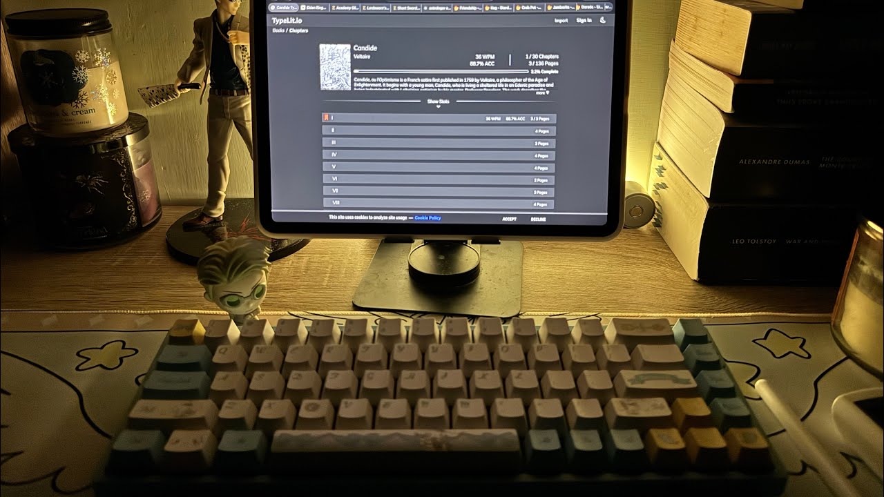 Typing practice by retyping Candide (Ch. 1) | 30 minutes typing sound, no talking, no music